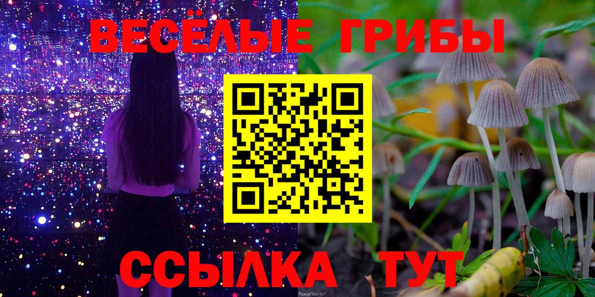 Галлюциногенные грибы MAGIC MUSHROOMS Анжеро-Судженск